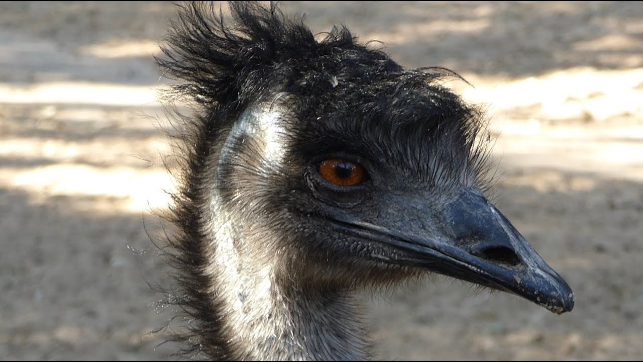חי פארק קרית מוצקין