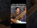 Sitar Conversations Part 7: The Music Behind the Notes 🎶