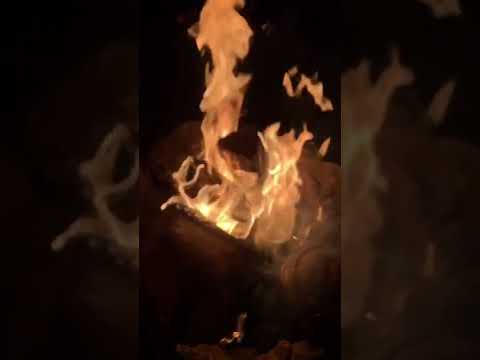 بدر العزي كلمني