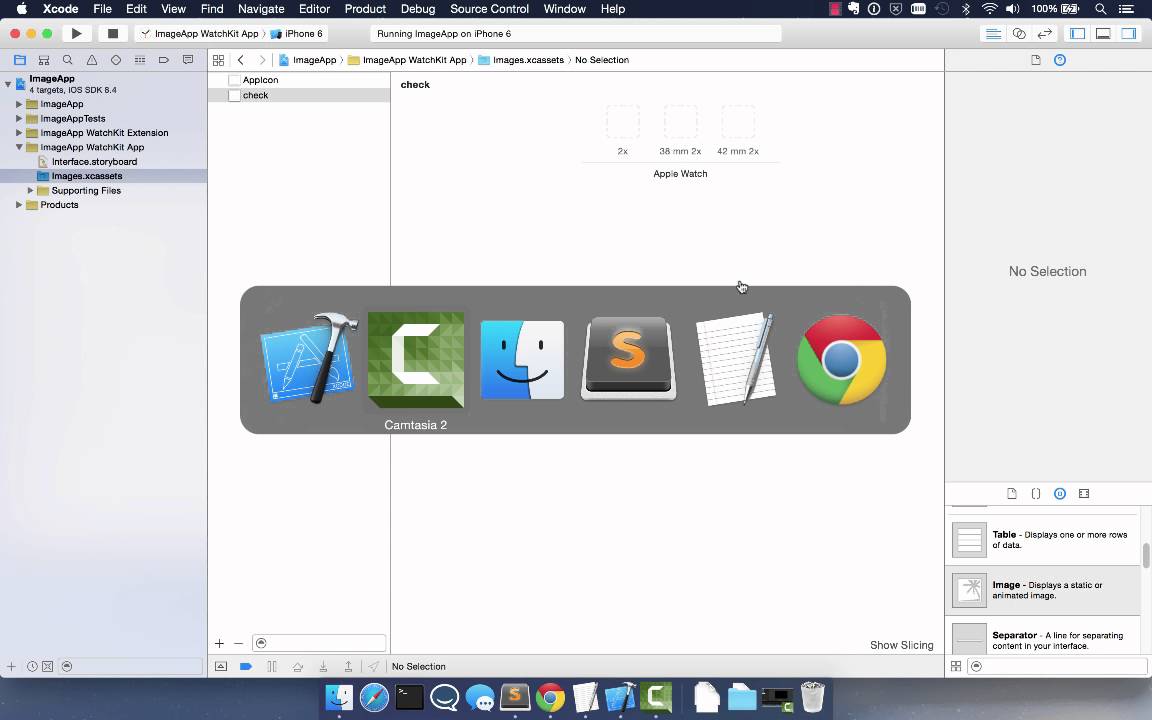 Watchkit tutorial 14 of 17 - images
