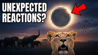 How wildlife reacts to an eclipse!