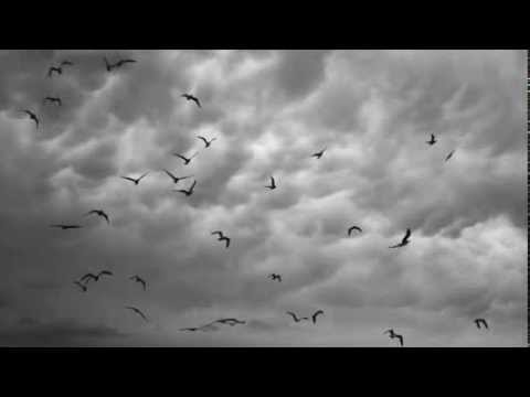 In Trance 95 - Overcast