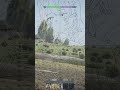 touching a kitty #warthunder #warthundermoments #shorts