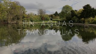 En Aguas Tranquilas 🎹 [PIANO SOLO] - Música Instrumental para Orar - Tobías Buteler