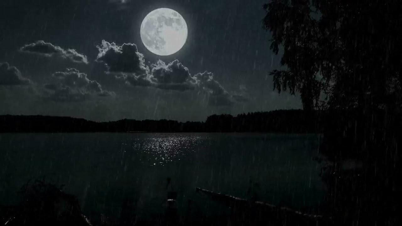 Peaceful Moonlight Rain in the Dark Forest Night for Healing Sleep 10 Hours