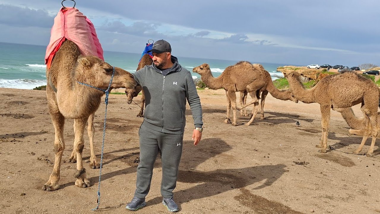 فرجة ممتعة من مدينة طنجة