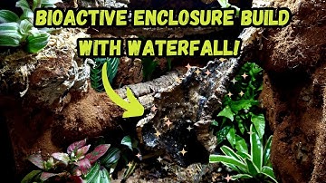 Bioactive Enclosure Build With Waterfall | Tutorial