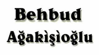 Behbud A Iransayaqi Gitar