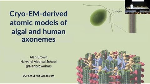 Cryo-EM-derived atomic models of algal and human axonemes - Alan Brown (Harvard)