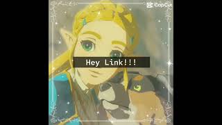 Loz cuz i’m a nerd :3 #legendofzeldabreathofthewild