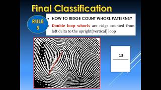 #Fingerprint  #ClassificationSystem  #Henry FBI #Final Classification (Part 6)