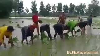 Mundur alon alon versi jurus tandur