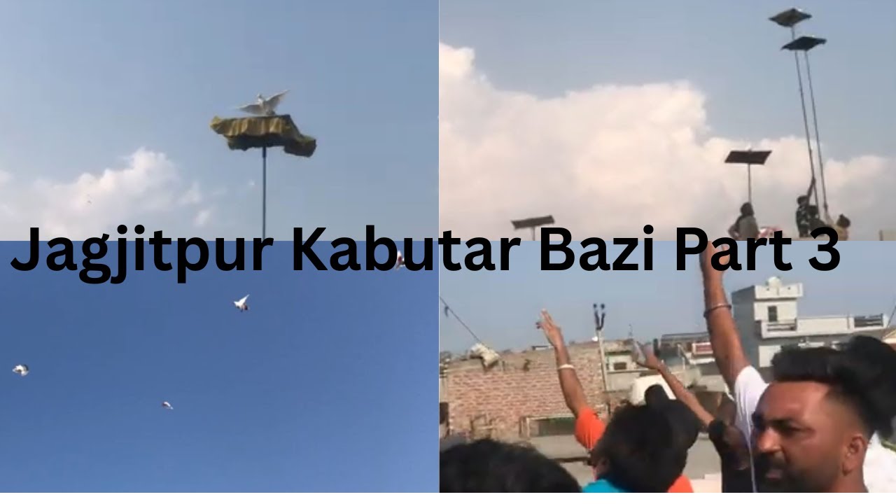 Kabootar Bazi Jagjitpur Part 3 | Day 2 Race Continues, Final Coming Soon