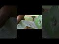 punch hole tool making video #tricks #welding #shorts || welding for beginners | tricks and tips