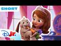 Time for Magic with Sofia and Clover! 👑🍀 | Sofia the First: Magical Friends | @disneyjr