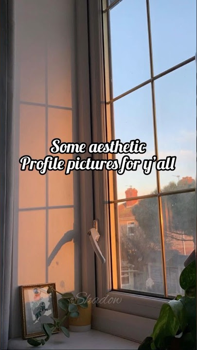 Aesthetic profile pictures 🤎 Profile pictures for girls 🫶🏻 Aesthetic videos #youtube #shorts