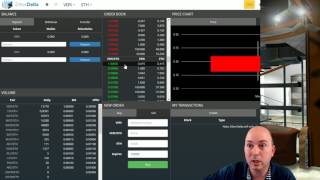 REALIST NEWS - How to Sell Veritaseum on EtherDelta and Sell for $USD on Gemini Exchange