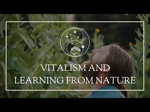 Vitalism and Learning
