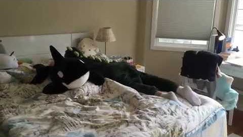 Different reactions of 12 horoscopes when they are dumped