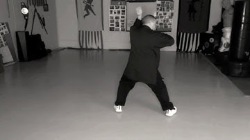Liu He, 7 Star, Mi Men,  Ba Bu, Baji, Pigua, bagua montage Kung Fu
