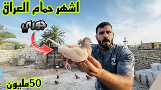 الحمام الشهر علئ مستوئ العراق /الملكه جوري 😱