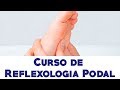 Vídeo Aula Completa de Reflexologia Podal