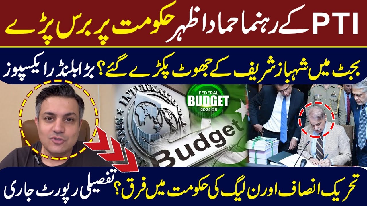 Hammad Azhar  expose federal's budget weakness | PTI vs PMLN | IRK NEWS
