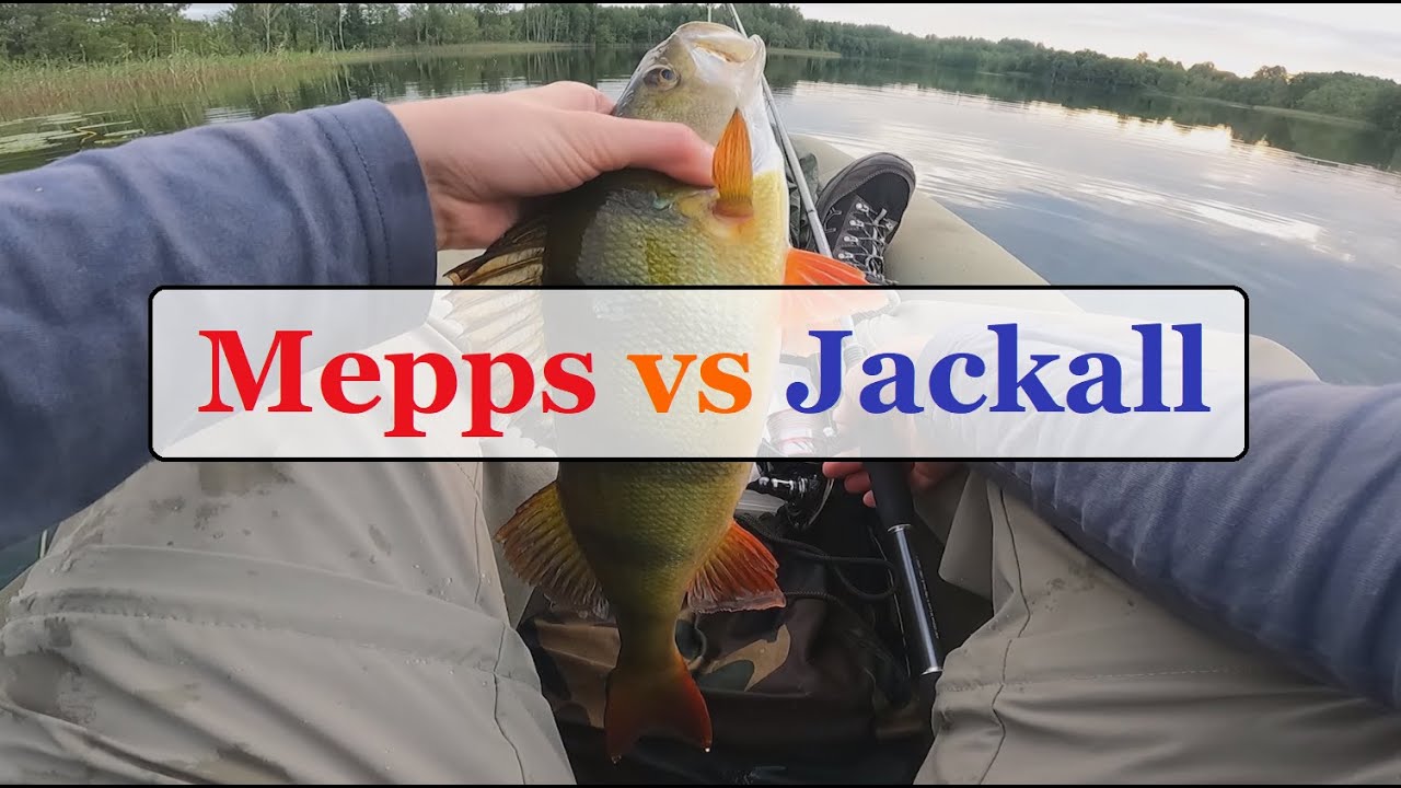 Mepps vs Jackall – kuris masalas pagauna daugiau žuvies?