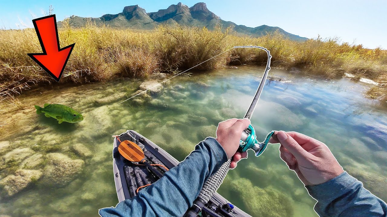 Охота на пустынного окуня в чистой воде на реке Дьявола.