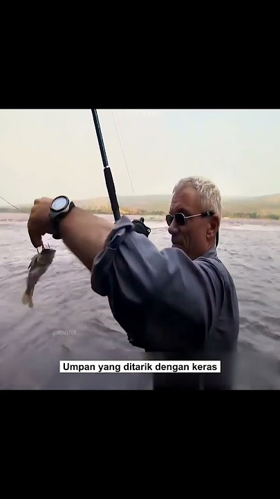 Di sungai yng berglombang ini hidplah mhluk air tawar yng lbih berbhaya dari hiu ptih besar #shorts