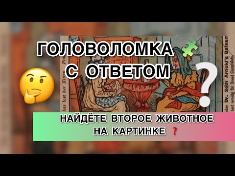 Головоломка с ответом - Найдёте второе животное на картинке? Тест на внимательность. Find on picture