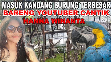 MASUK KANDANG BURUNG TERBESAR BARENG HANNA WINANTA YOUTUBER CANTIK