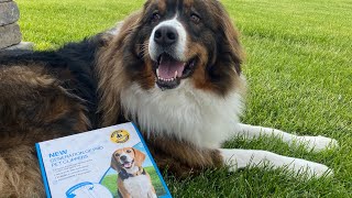 Pet Grooming Tool Product Review