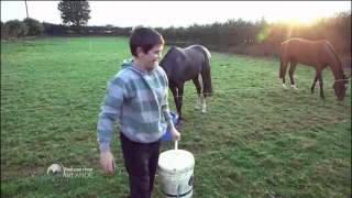 Les petits jockeys de Glenbeigh Les petits jockeys de Glenbeigh