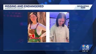 Teen reported missing and endangered, deputies say