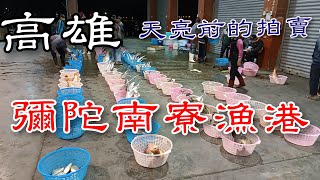 高雄彌陀南寮漁港丨在地人也不一定知道的魚市拍賣丨 Mituo Fishing Port Fresh Fish Auction in Kaohsiung