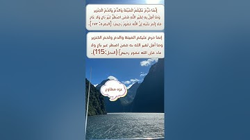أفلا يتدبرون القرآن     آيات متشابهات بين سوره النحل وسورة البقره   عزة مطاوع