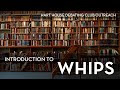 Strategies for Whip Speeches