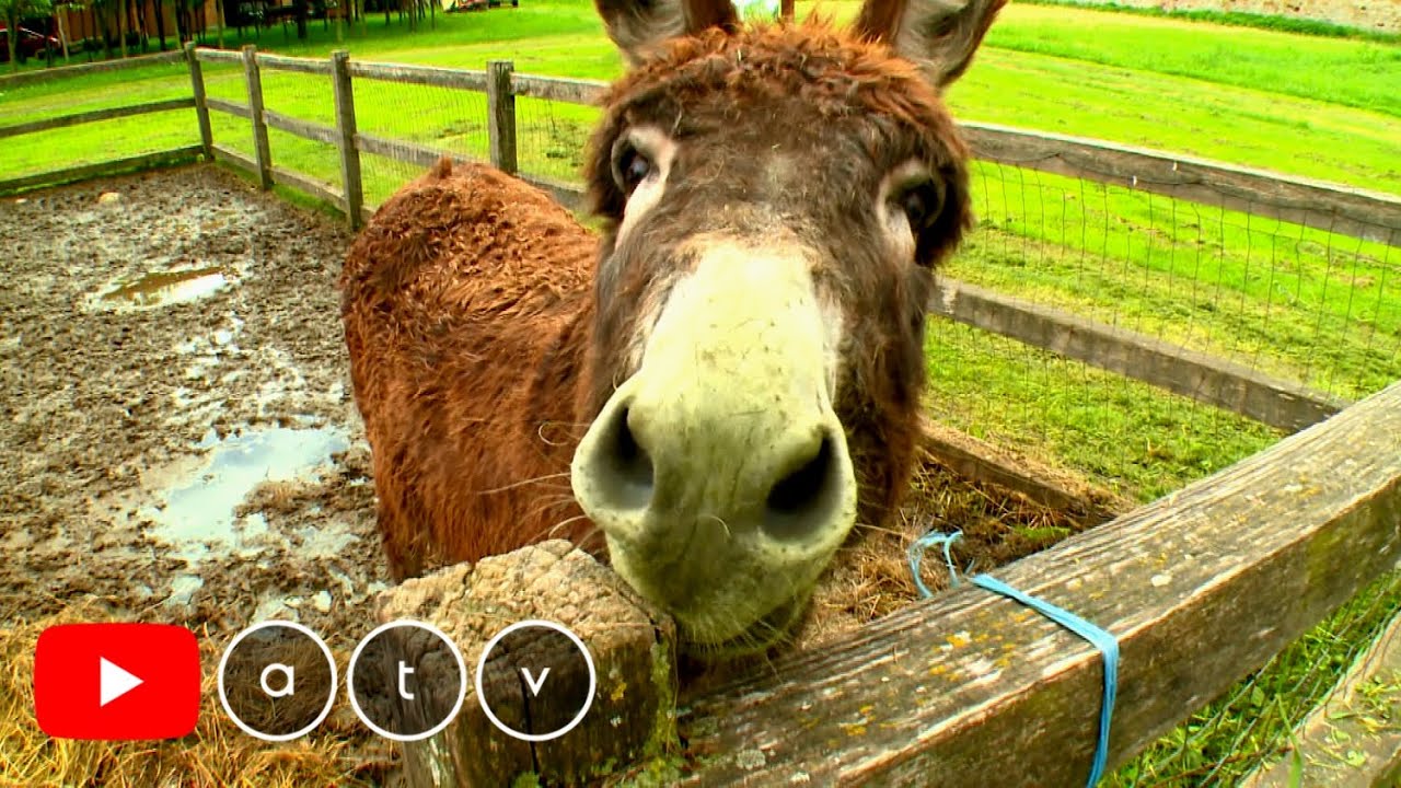 Balaton Bike 365 Keszthely körül