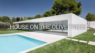 House on the Olive Trees : A Serene Oasis Amidst Nature's Splendor