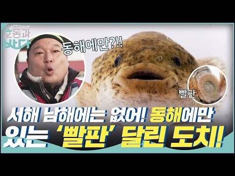 | 호동과 바다 Hodong and <strong>Sea</strong> <strong>EP</strong>.2