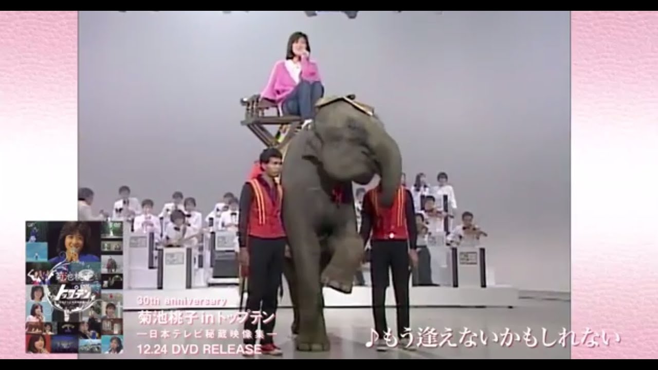 菊池桃子inトップテン DVDトレーラー - YouTube