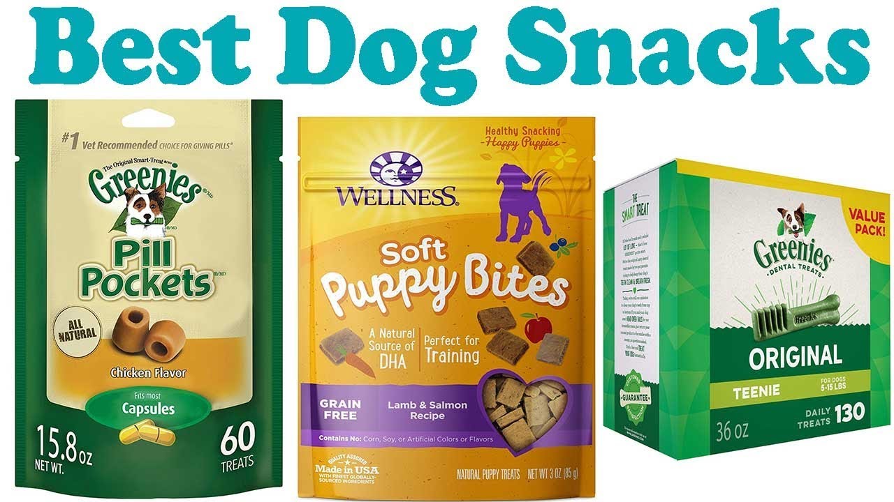 6 Best Dog Snacks of 2018 YouTube
