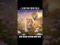 3. 보고만 있어도 마음이 편안해지는 고양이 힐링 영상 🐱✨ | 스트레스 해소·수면 유도 고양이힐링,힐링영상,고양이영상,고양이ASMR힐링음악,명상영상,수면영상,마음안정스트레스해소
