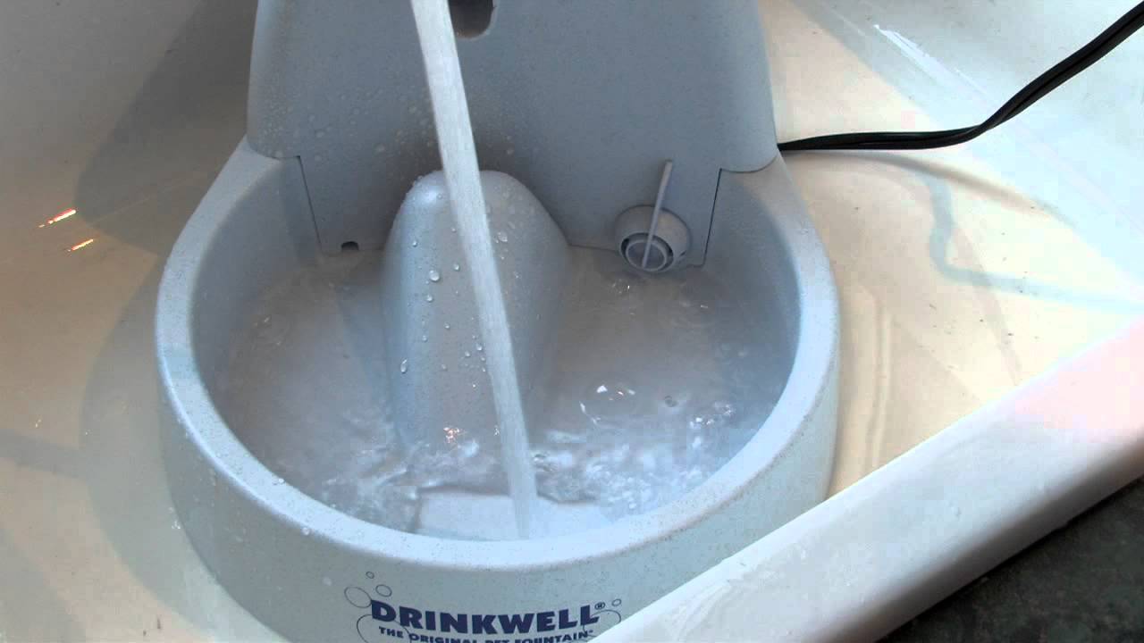 Drinkwell - The Original Pet Fountain - YouTube