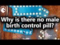 Why Is There No Male Birth Control Pill? Two Biologists Answer (from Livestream #50)