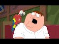 Гриффины - Странный попугай! Лучшие и смешные моменты в HD (НОВЫЙ СЕЗОН)