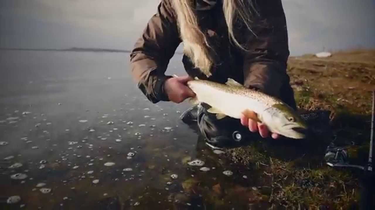 Sea Trout Battle on Fyn Day 2 (2 of 4 episodes) YouTube