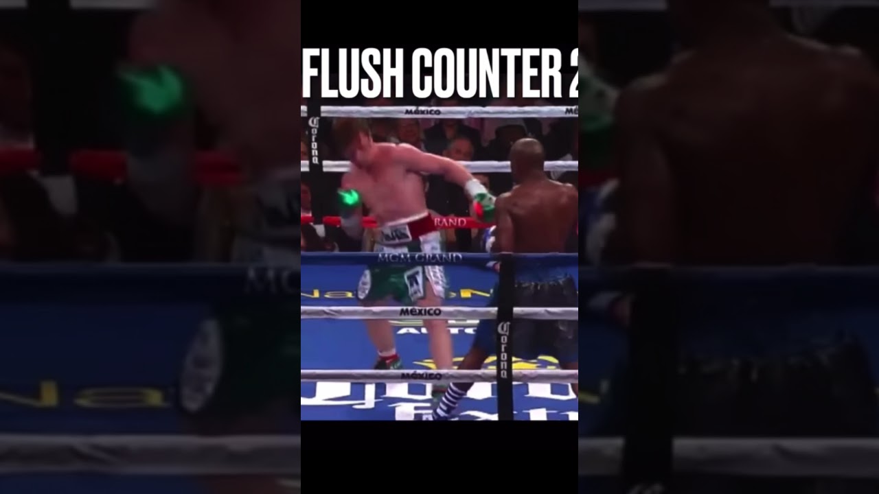 Floyd Mayweather: BOXING IQ