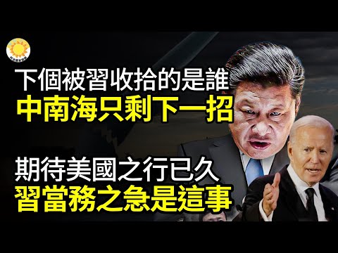 🔥下一个被习近平收拾的会是谁？中南海只剩下一招；习近平期待美国之行已久 当务之急是这事；“只跟中国人要小费”！中国游客怒呛印尼海关：根本是土匪 【阿波罗网JS】